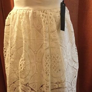 Simple Lace Skirt